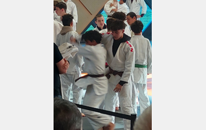 Tournoi de la ville des Herbiers 10 octobre 2026