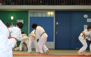 539f1e7444585_IMG2660.JPG