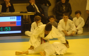 547b4295b3b43_DSC05060.JPG
