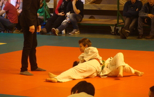 547b42e1b9789_DSC05063.JPG